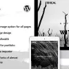 Foreal Director Writer WordPress Theme 2.7破解版主题