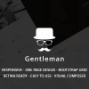 Gentleman CV Resume vCard WordPress Theme 1.4.3破解版主题