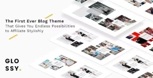 Glossy Fashion Blog Theme for Stylish Affiliation 2.3 GPL Theme