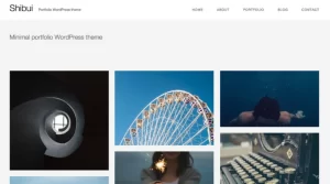 Graph Paper Press Shibui WordPress Theme 1.1 GPL Theme