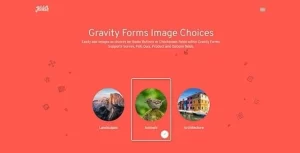 Gravity Forms Image Choices 1.4.26 GPL Plugins