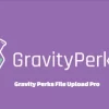 Gravity Perks File Upload Pro 1.3.16破解版插件
