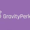 Gravity Perks Inventory 1.0 beta 1.0 beta 3.36破解版插件