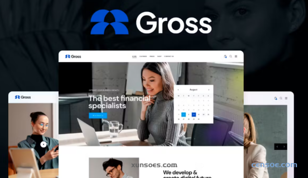 Gross – Business Consulting WordPress Theme 1.0.0 GPL Theme