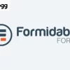 Groundhogg – Formidable Forms 2.0.2破解版插件