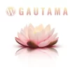 Guatama Buddhist Temples WordPress Theme 1.0.0破解版主题