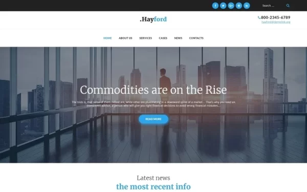 Hayford Investment Consulting Services Responsive WordPress Theme 1.2.3 GPL Theme