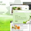 Herbal Pure Ayurveda WordPress Theme 1.0.0破解版主题