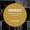 Hermes Multi Purpose Premium Responsive WordPress Theme 2.1.6破解版主题