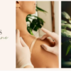 Hibiscus Alternative Medicine and Organic Shop Theme 1.2破解版主题
