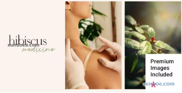 Hibiscus Alternative Medicine and Organic Shop Theme 1.2 GPL Theme