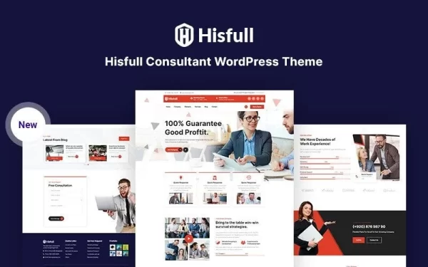 Hisfull Consultant Responsive WordPress Theme 1.0.0 GPL Theme