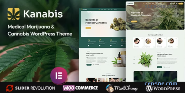 Kanabis Medical Marijuana Cannabis WordPress Theme 1.0.0 GPL Theme