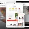 Kindness Non Profit Charity Donation Organizations WordPress Theme 1.4.1破解版主题