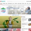 Kobaran Theme WordPress 2.1破解版主题
