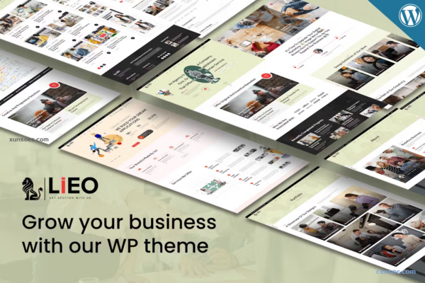 LIEO Business Consulting WordPress Theme 1.0.3 GPL Theme