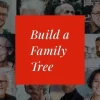 Lineago Genealogy WordPress Theme 1.0.6破解版主题