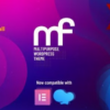 MF Multipurpose WordPress Theme 3.2.4破解版主题