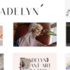 Madelyn Elegant Creative Theme 1.0.1破解版主题