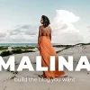 Malina 2.4.1破解版主题