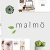 Malmo A Charming Multi concept Theme 1.6破解版主题