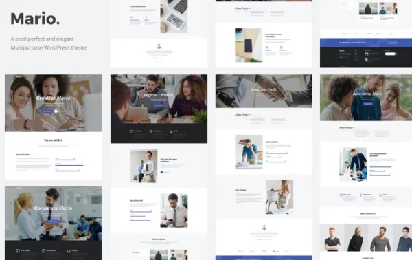 Mario. Creative Multipurpose WordPress Theme 1.0.6 GPL Theme