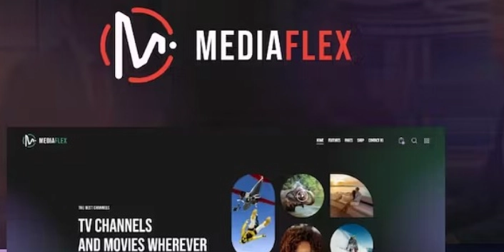 MediaFlex – TV Channel Streaming WordPress Theme 1.0 GPL Theme 1 MediaFlex – TV Channel Streaming WordPress Theme 1.0 GPL Theme