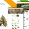 Mekiwana Medical Cannabis Shop WordPress Theme 1.1.2破解版主题