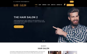 Mindz Salon WordPress Theme 1.00 GPL Theme