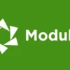 Modula Video 1.1.4破解版插件