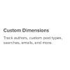 MonsterInsights Custom Dimensions Addon 2.1.1破解版插件