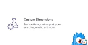 MonsterInsights Custom Dimensions Addon 2.1.1 GPL Plugins