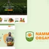 Namm – Grocery Shop WordPress Theme 1.0.4破解版主题