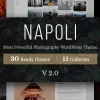 Napoli Photography WordPress 2.4.1破解版主题