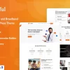 Netful Internet and Broadband Provider WordPress Theme 1.0.0破解版主题