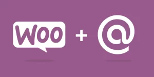 Notification WooCommerce Addon 2.0.0 GPL Plugins