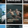 OboxThemes The Writer WordPress Theme 1.2.4破解版主题