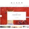 Olsen – CSSIgniter 2.8.3破解版主题