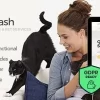 OnLeash Dog Walking Pet Services Veterinary WordPress Theme 1.3破解版主题