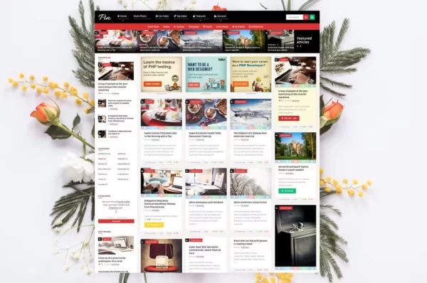 Pin = Pinterest Style Membership News Blog Theme 5.9 GPL Theme