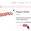 Popcorn Theme Full Site Editor Popcorn Theme Addon 0.1.5破解版主题