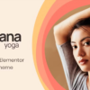 Prana Yoga Fitness Theme for Elementor version破解版主题
