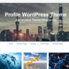Profile Pro WordPress theme provided by InsertCart 2.6破解版主题