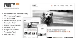 Purity: Responsive, Minimal Bold WP Theme 4.5.1 GPL Theme