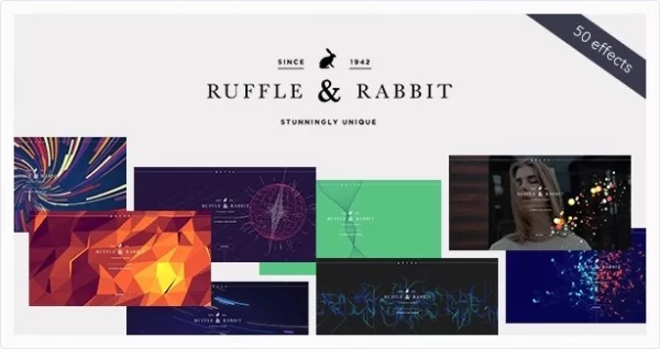 Rabbit Exclusive Coming Soon WordPress Theme 4.0.3 GPL Theme