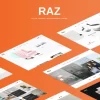 Raz Clean Minimal WooCommerce Theme 1.1.2破解版主题