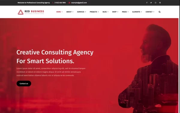RedBiz Finance Consulting Multi-Purpose WordPress Theme 1.2.7 GPL Theme