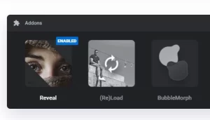 Revslider Reveal AddOn 6.7.3 GPL Plugins