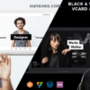 Rezo Resume vCard CV WordPress Theme 1.0.2破解版主题