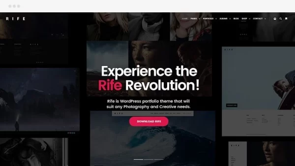 Rife Pro – Creative WP Theme​​ 2.4.17 GPL Theme